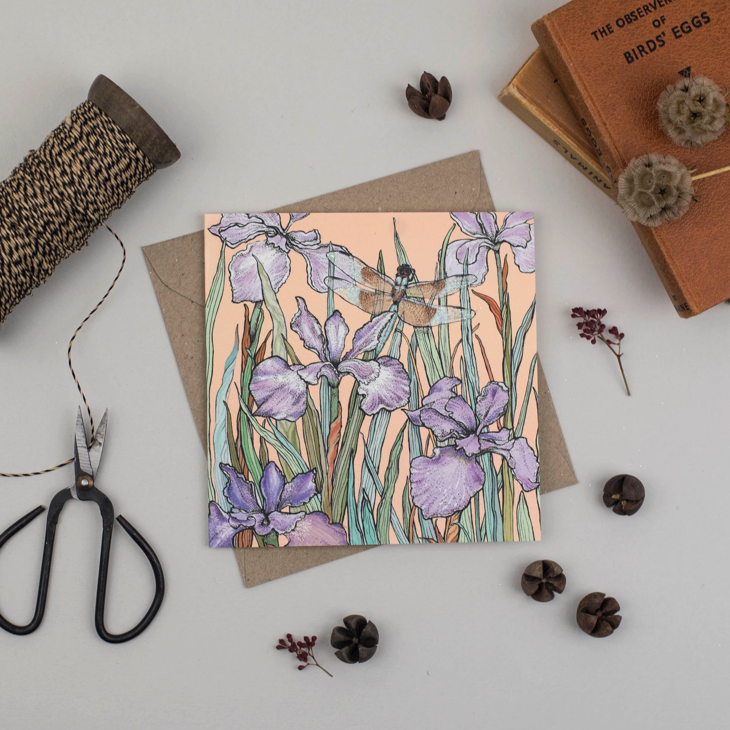 Dragonfly and Iris, In The Wild, TW82