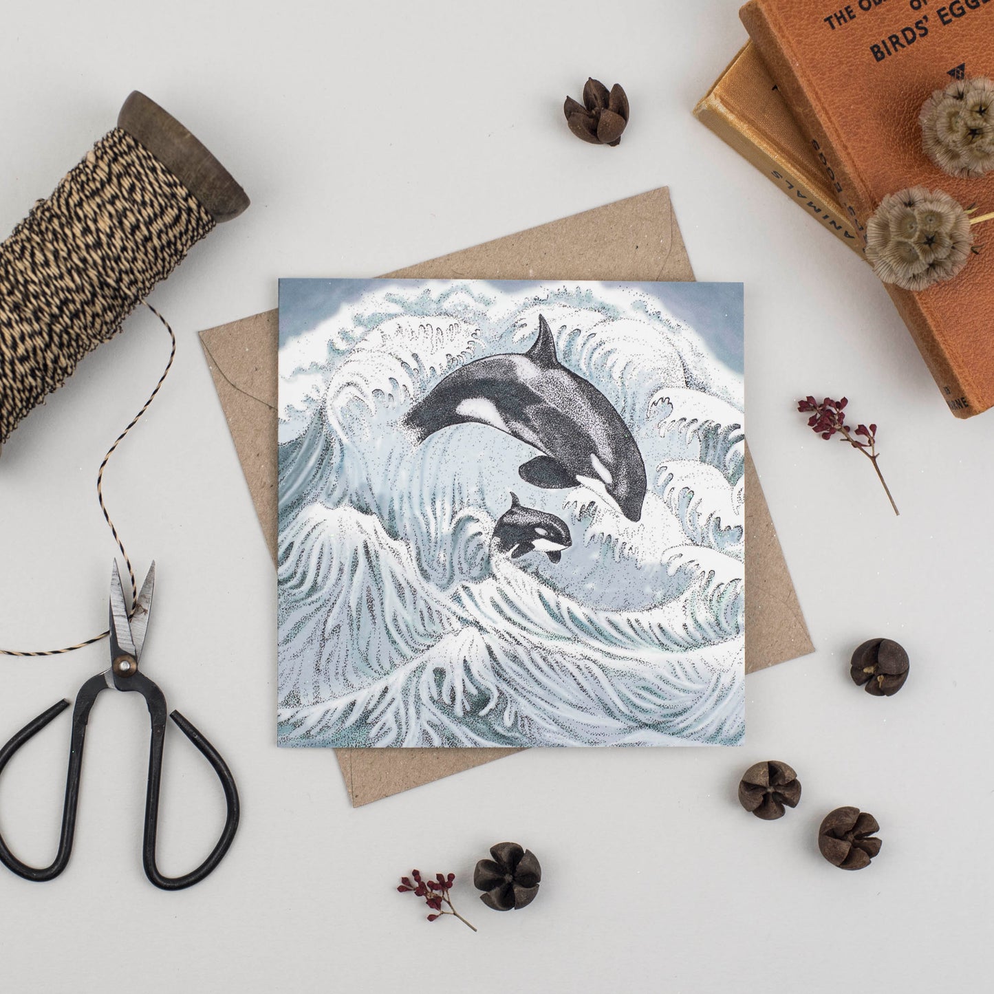 Orcas, In The Wild, TW91