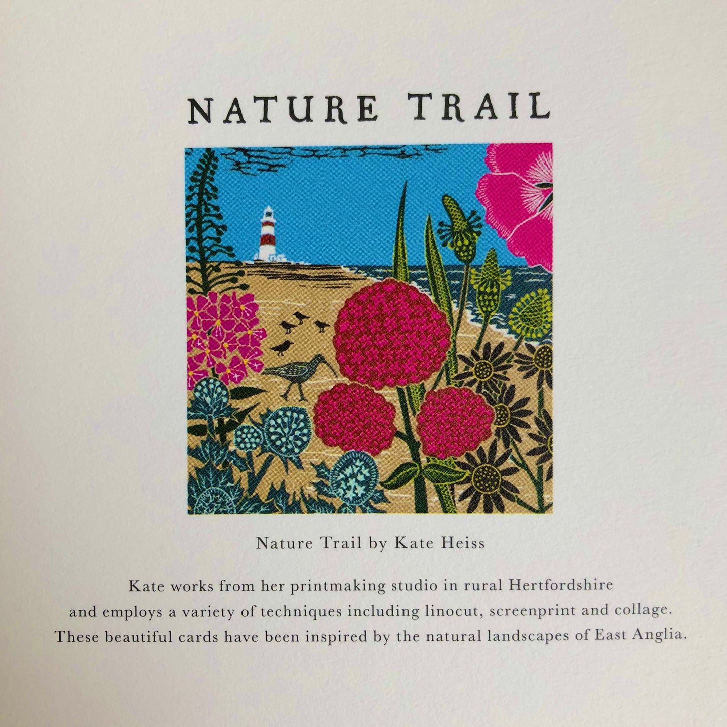 Beach and Lighthouse by Kate Heiss, Nature Trail NT08A