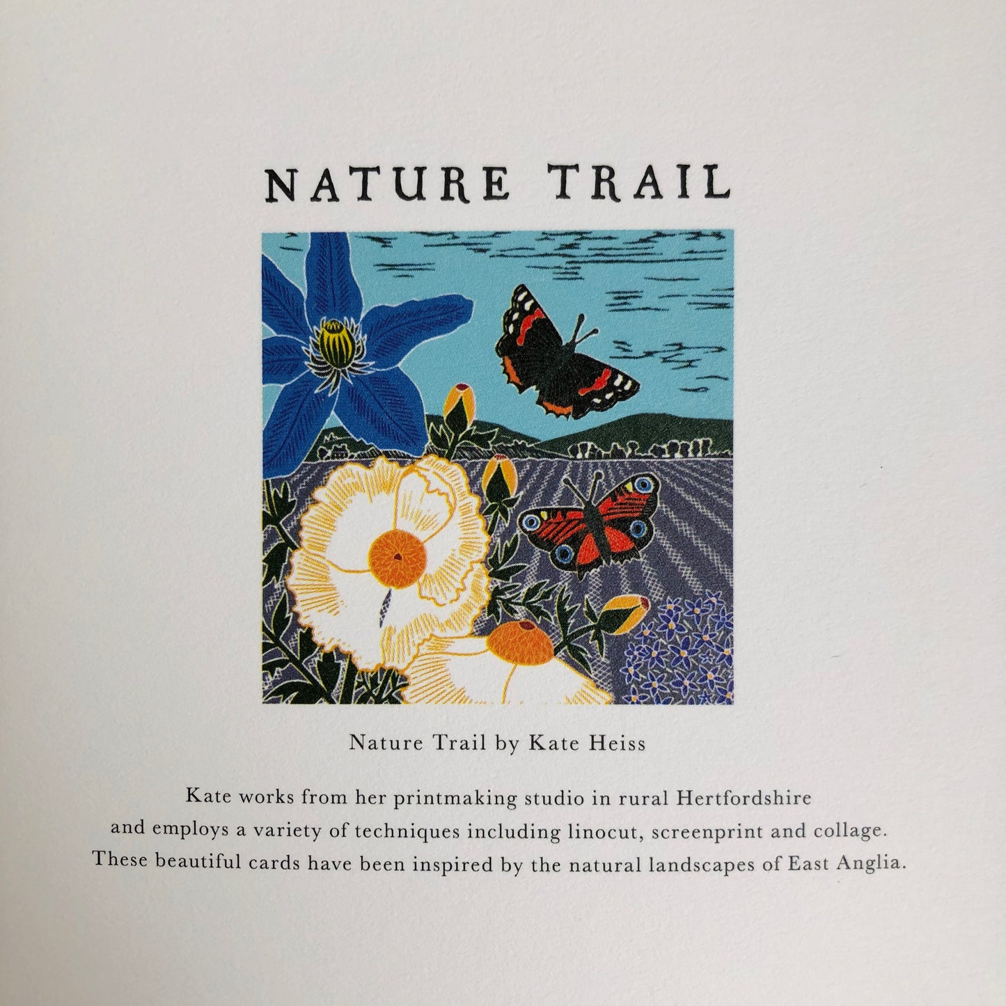 Meadow of Butterflies by Katie Heiss, Nature Trail NT16A