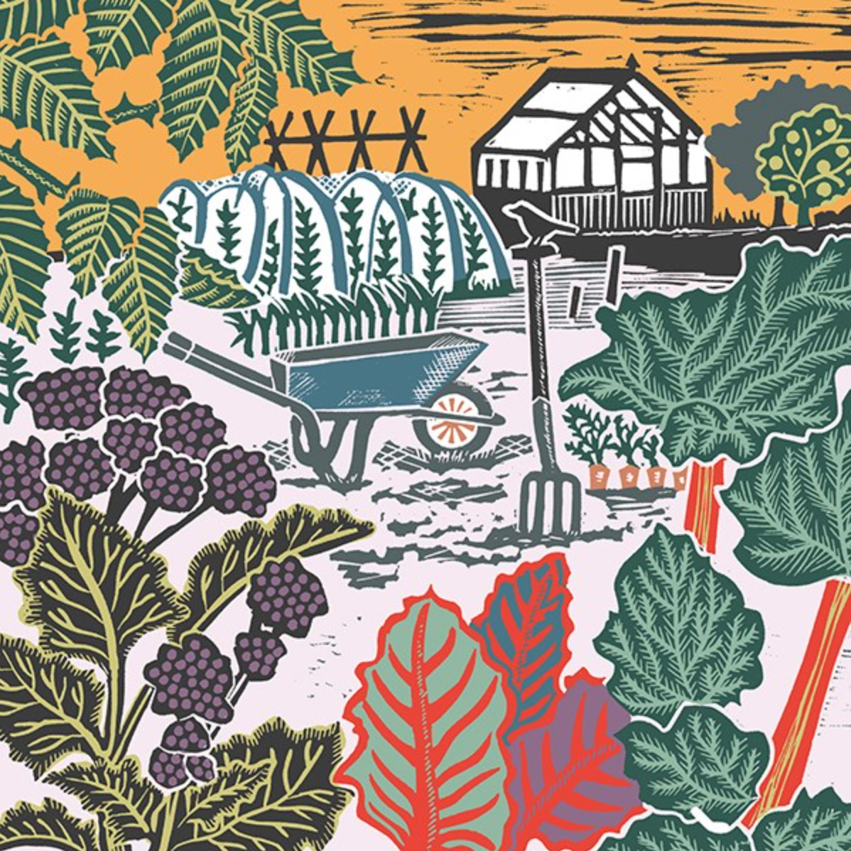 Allotment by Kate Heiss, Nature Trail NT05A