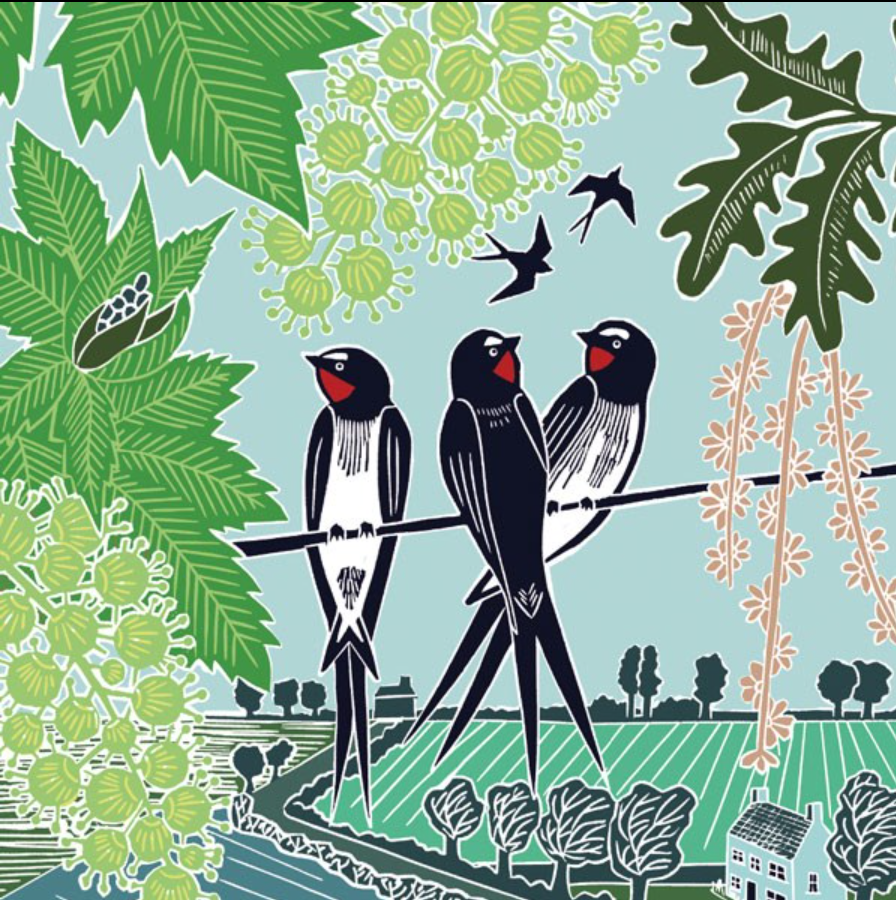 Swallows on a Line by Katie Heiss, Nature Trail NT12A