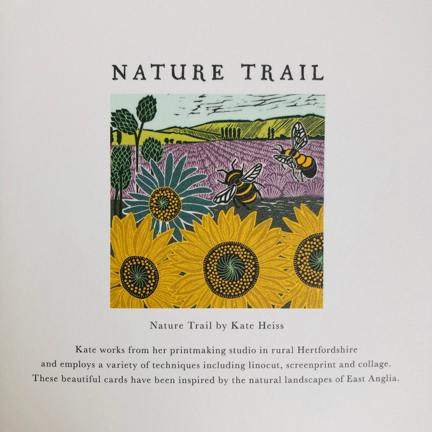Sunflowers and Bees by Katie Heiss, Nature Trail NT09A