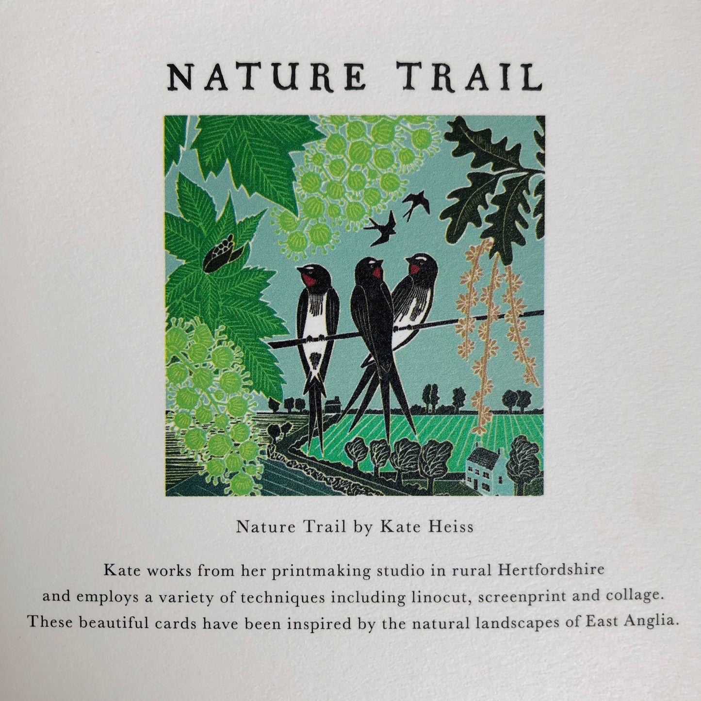 Swallows on a Line by Katie Heiss, Nature Trail NT12A