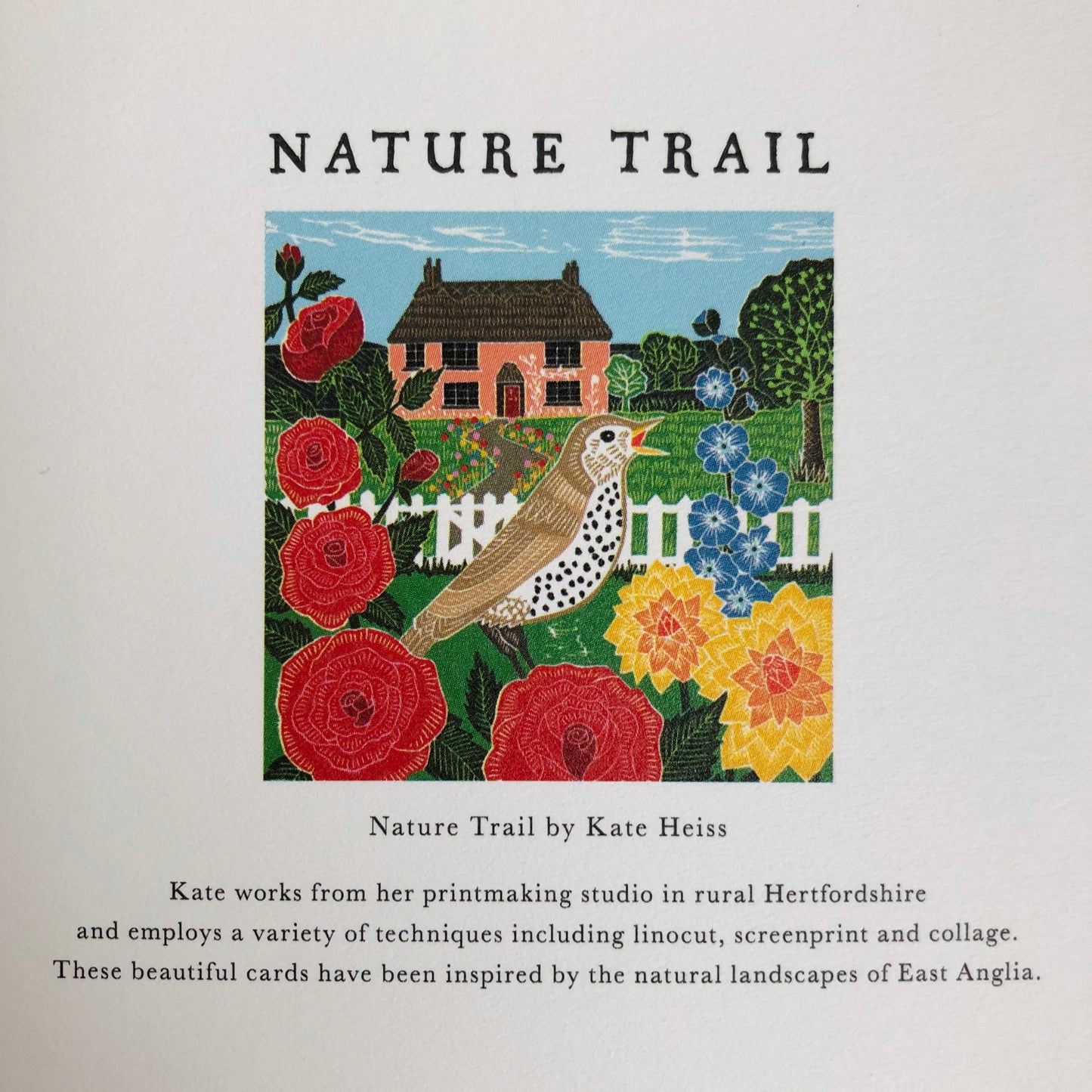Thrush and Cottage by Katie Heiss, Nature Trail NT11A