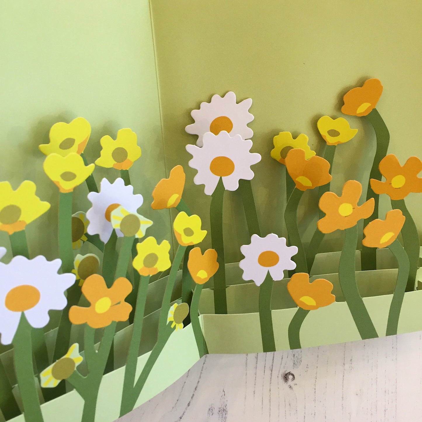 Pop Up 3D Field of Daisies Card by Two To Tango