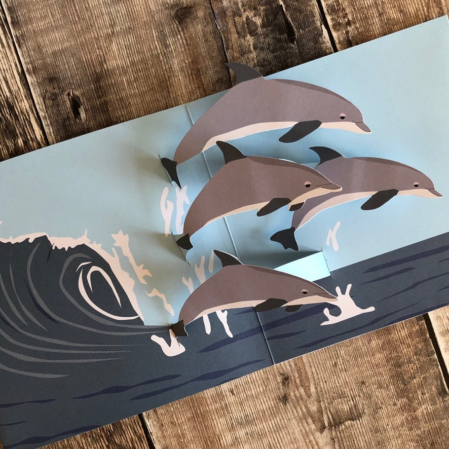Pop Up 3D Dolphin Card by Two To Tango