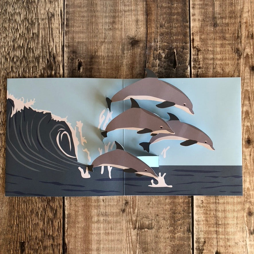 Pop Up 3D Dolphin Card by Two To Tango