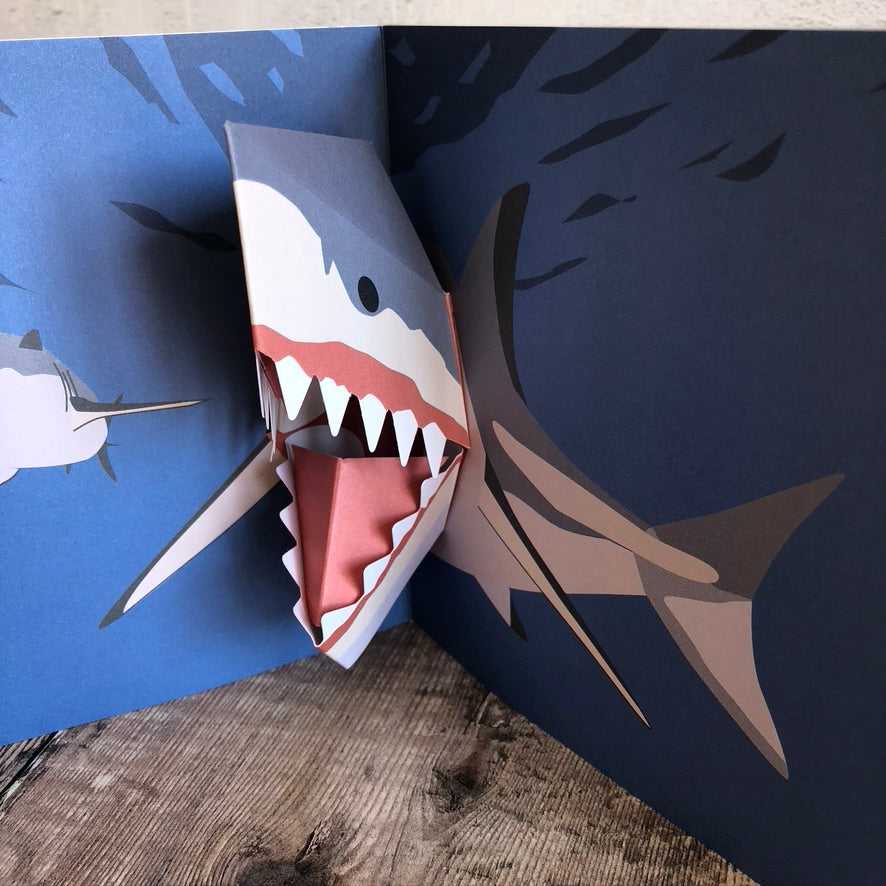 Pop Up 3D Shark Card by Two To Tango