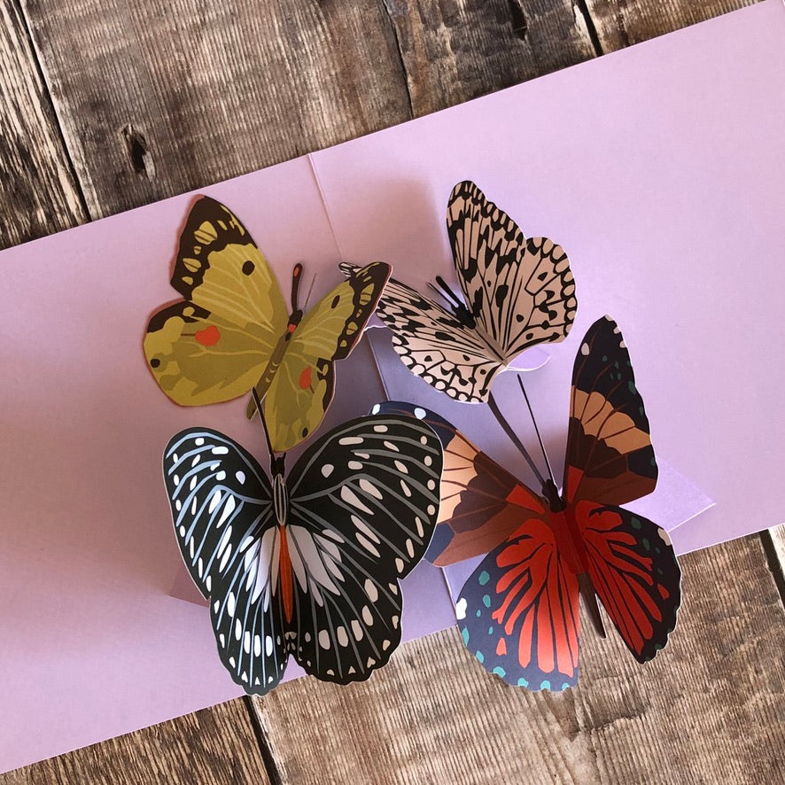 Pop Up 3D Four Butterflies