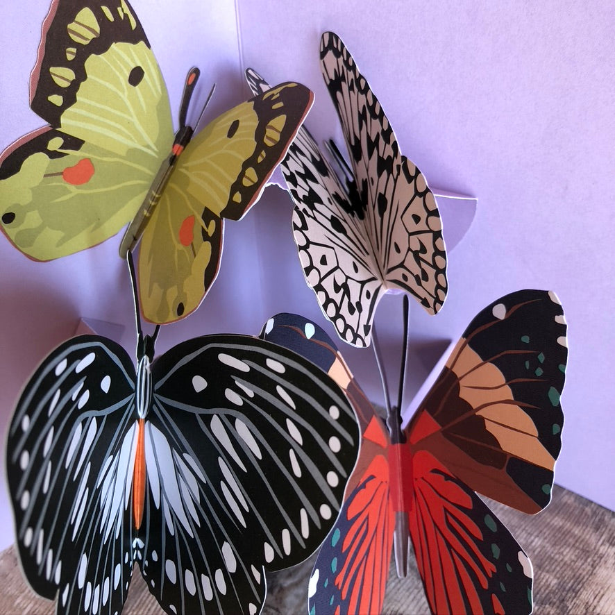 Pop Up 3D Four Butterflies