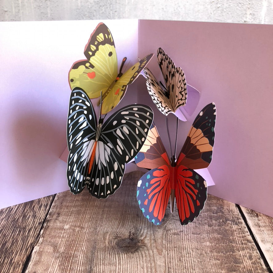Pop Up 3D Four Butterflies