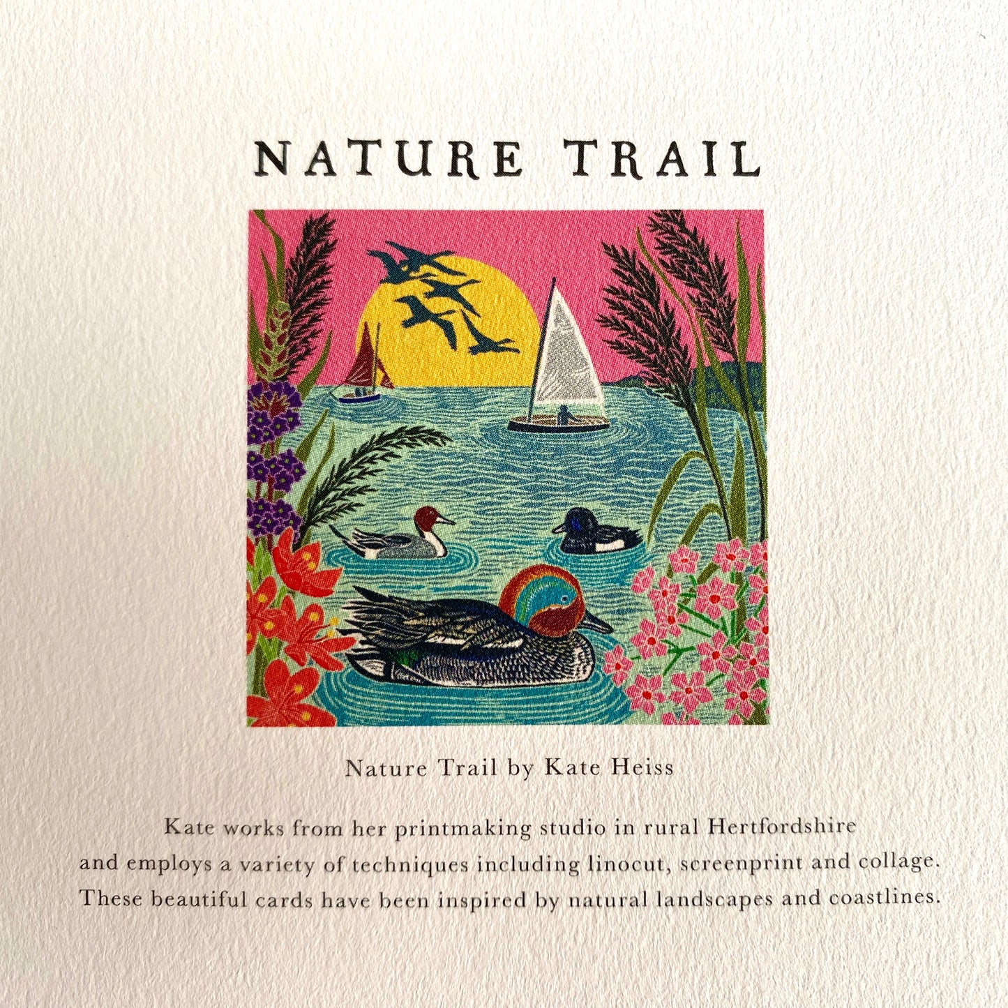 Birds of Paradise Bay, Kate Heiss, Nature Trail NT30