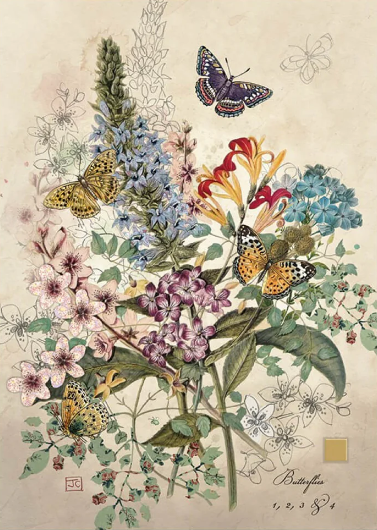 Botanical Butterflies by Jane Crowther, Bug Art D162