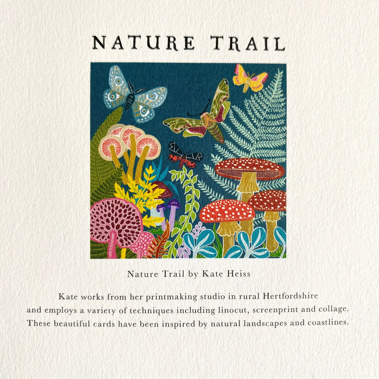 Butterflies and Moths by Kate Heiss, Nature Trail NT32