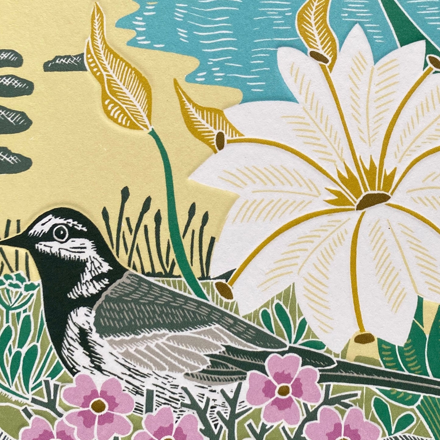 NEW Coastal Birds by Kate Heiss, Nature Trail NT36