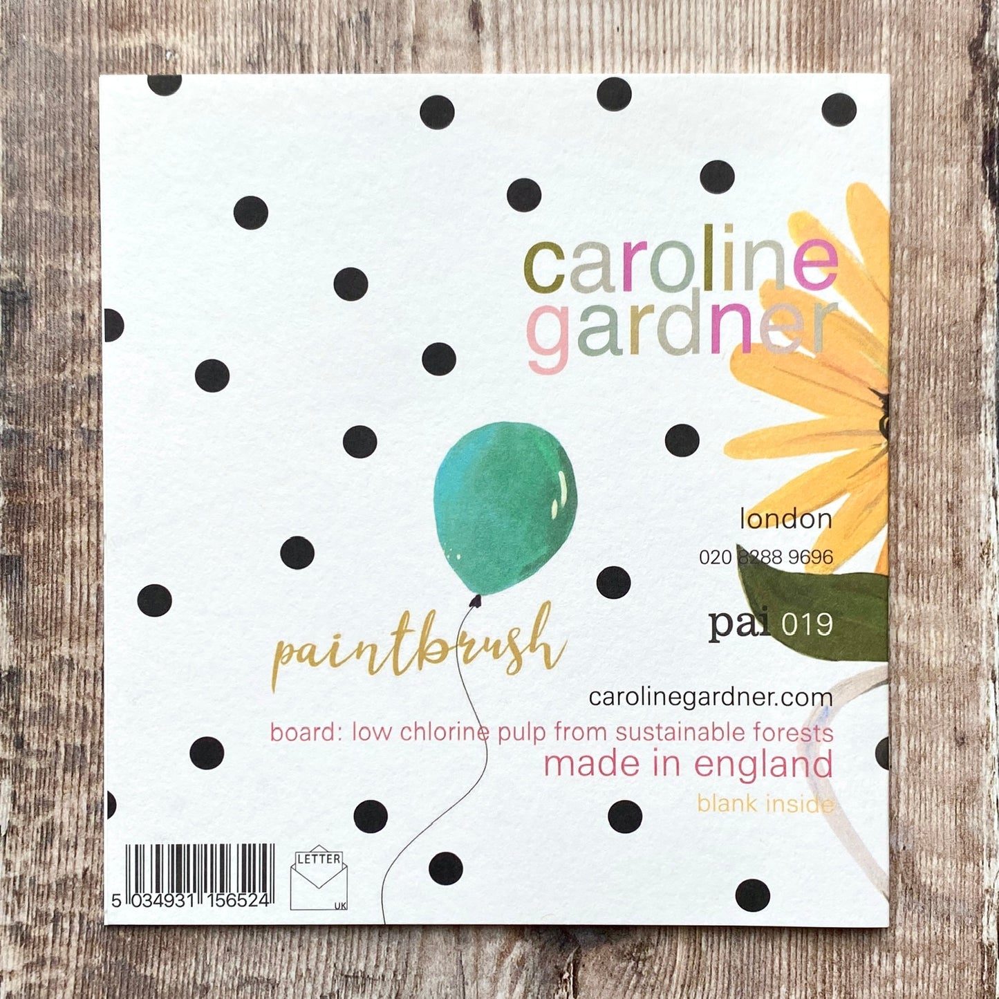 Mother's Day Flower Jug, Paintbrush by Caroline Gardener PAI019