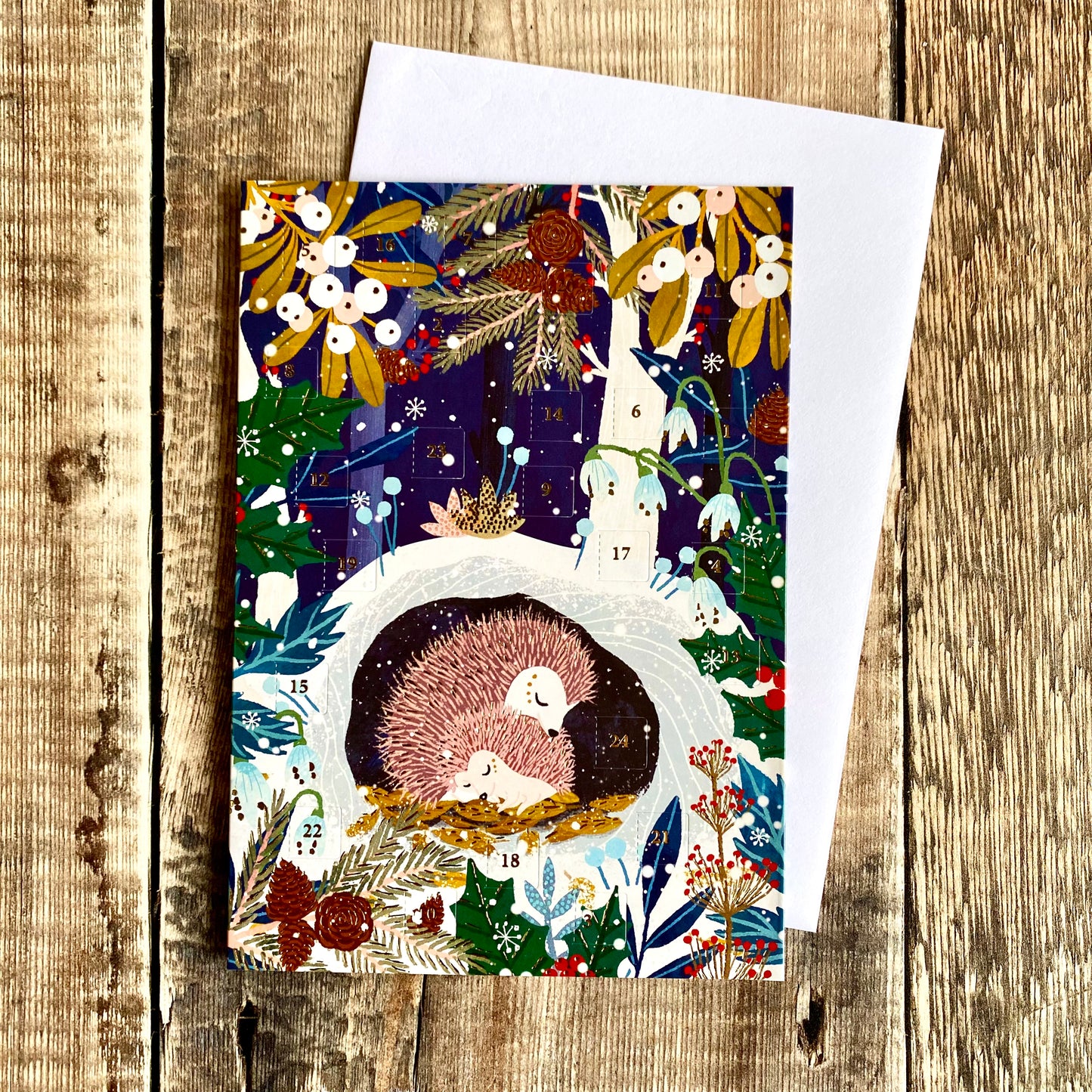 Hedgehog Hideaway Mini Advent Calendar Card by Antoana Oreski ACC088