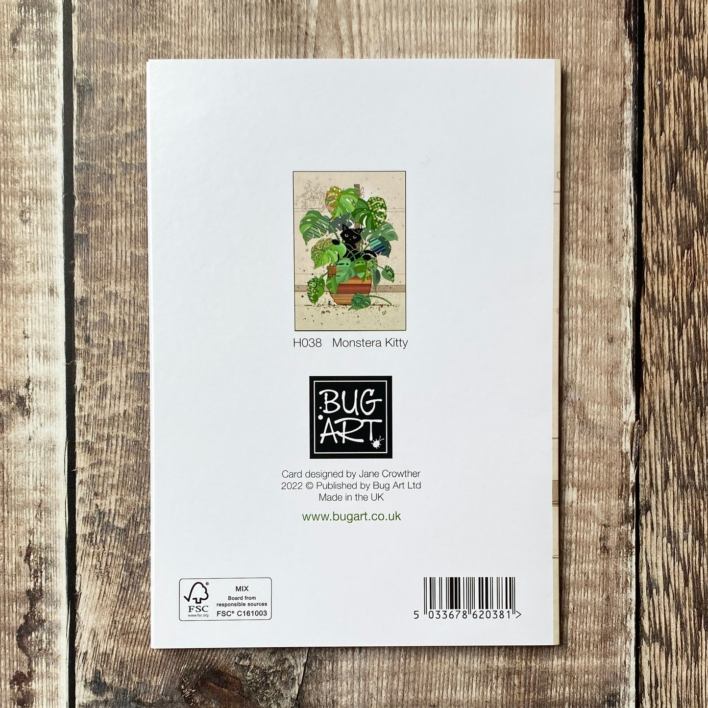 Monstera Kitty by Jane Crowther H038