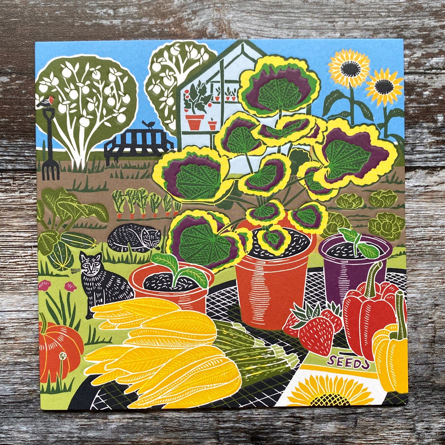 NEW Greenhouse Garden by Kate Heiss, Nature Trail NT39