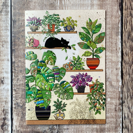Plants Kitty by Jane Crowther H029