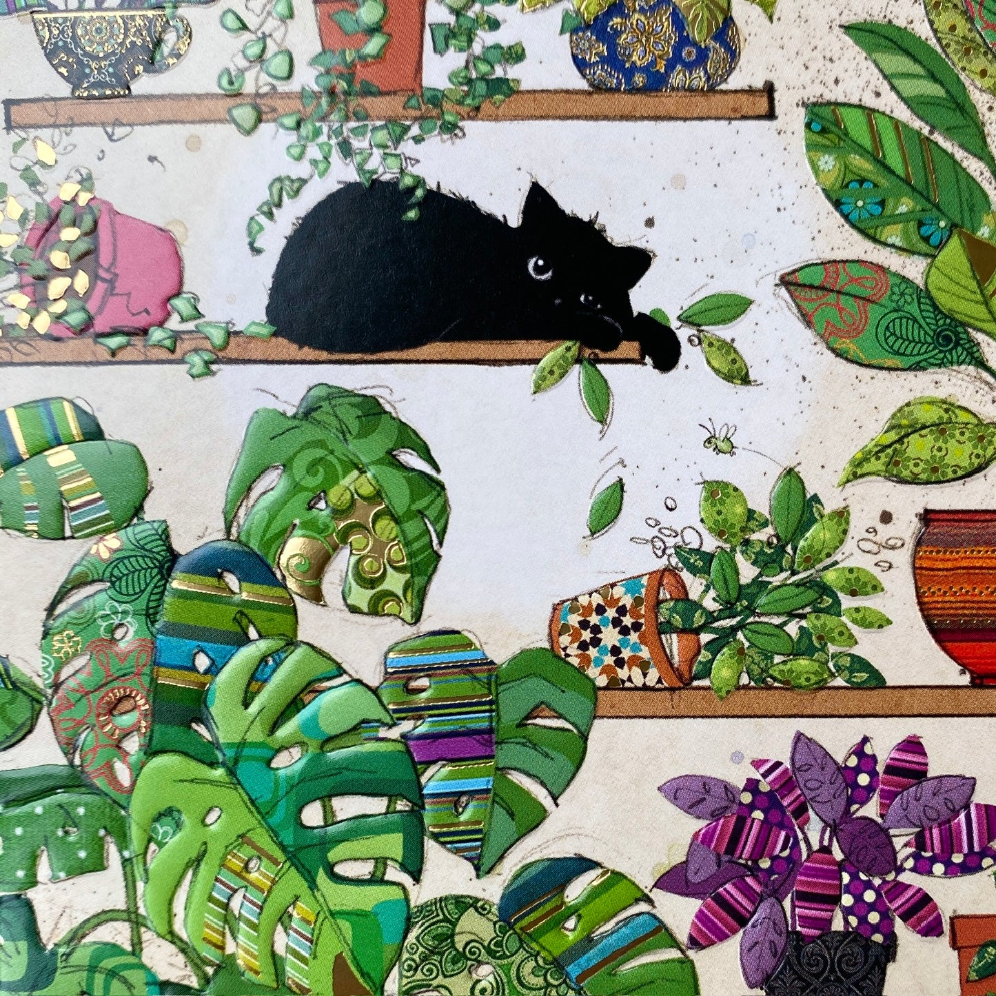 Plants Kitty by Jane Crowther H029