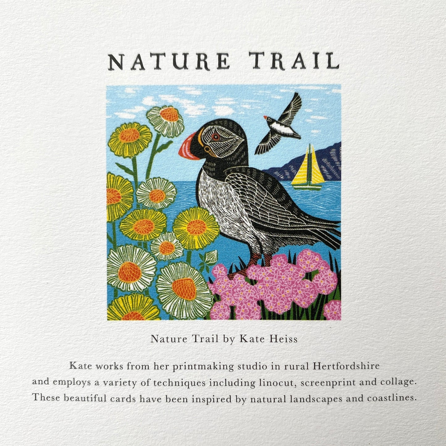 Puffin by Kate Heiss, Nature Trail NT34