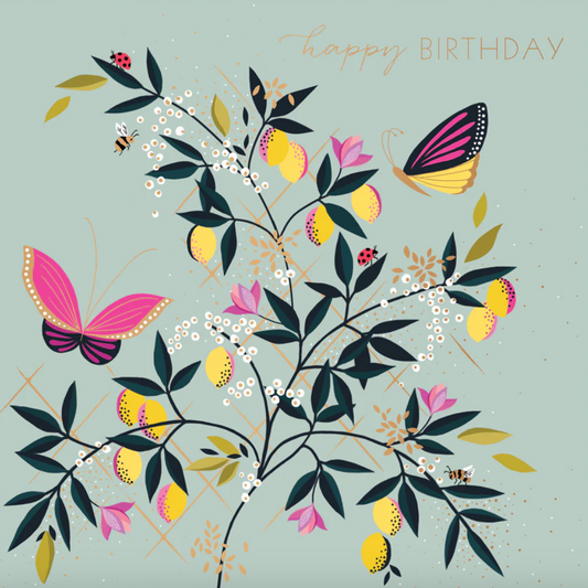 Happy Birthday Orchard Butterfly by Sara Miller SAM114