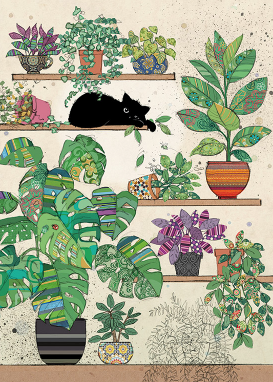 Plants Kitty by Jane Crowther H029