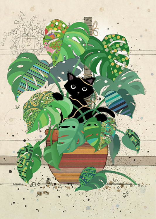 Monstera Kitty by Jane Crowther H038