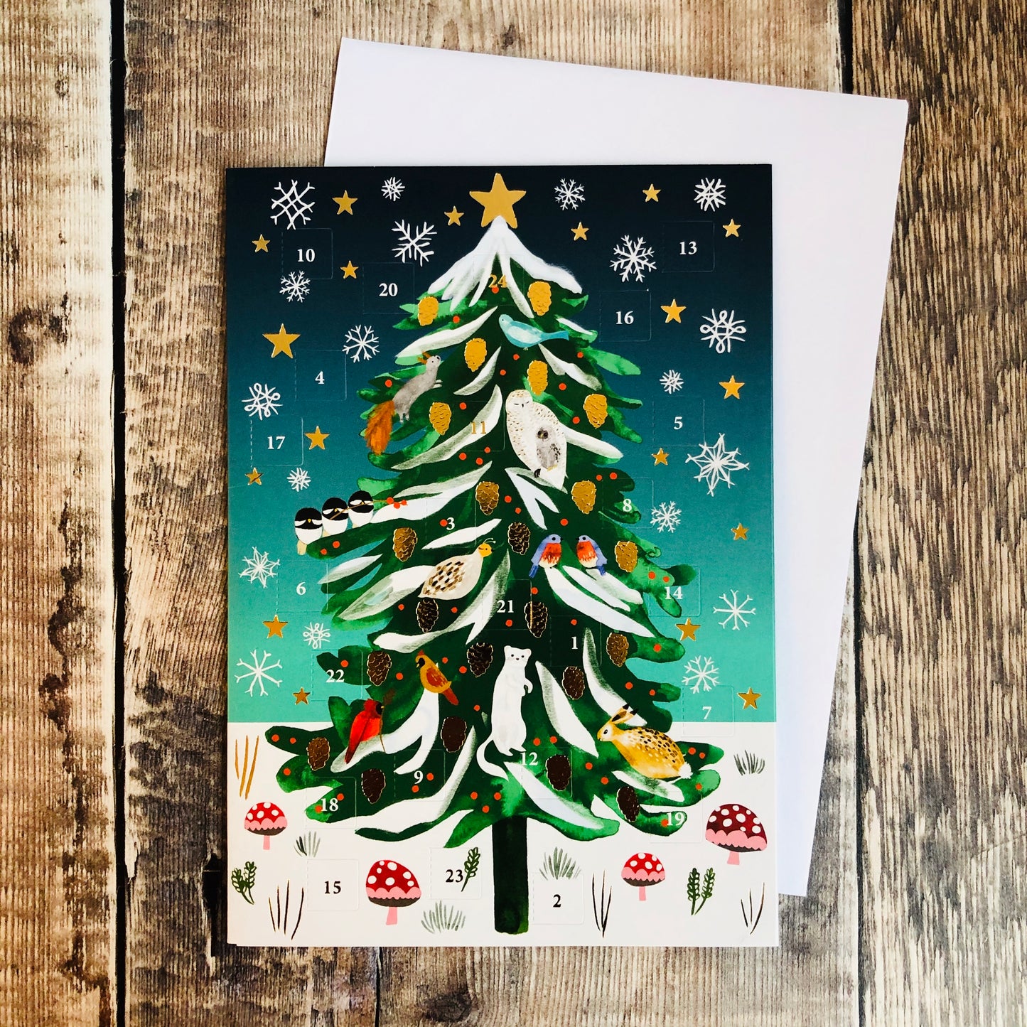 Christmas Conifer Mini Advent Calendar Card by Katie Vernon ACC079