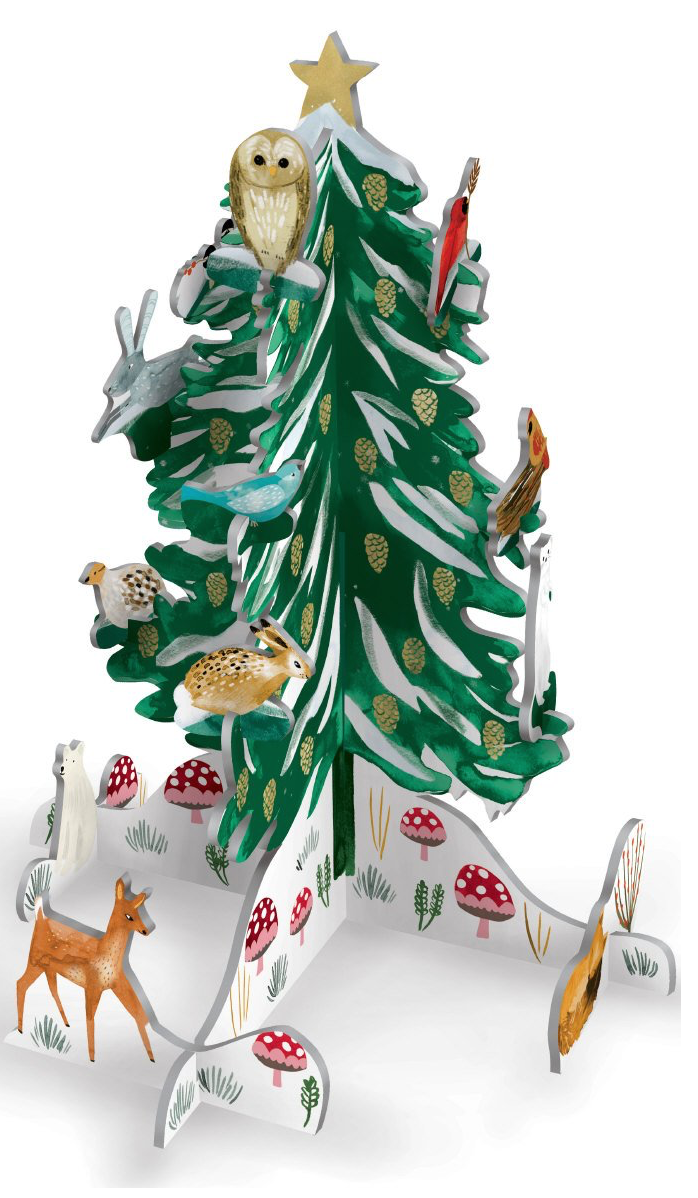Christmas Conifer Pop and Slot Advent Calendar POP074
