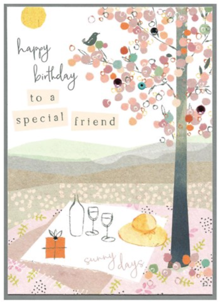 Happy Birthday Special Friend Picnic, Amelia AL13