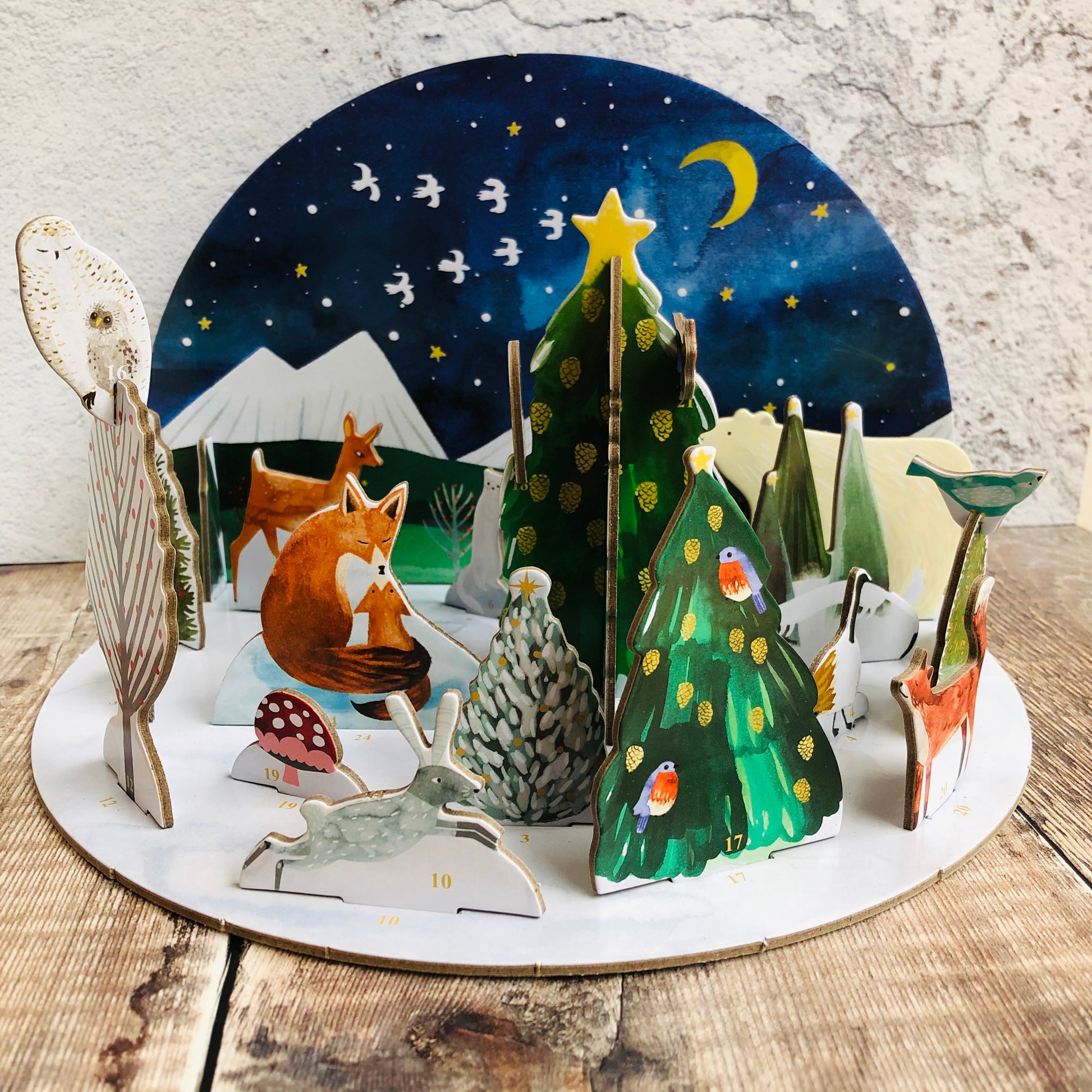 Cub's First Christmas Pop and Slot Advent Calendar POP071 Paper Turtle