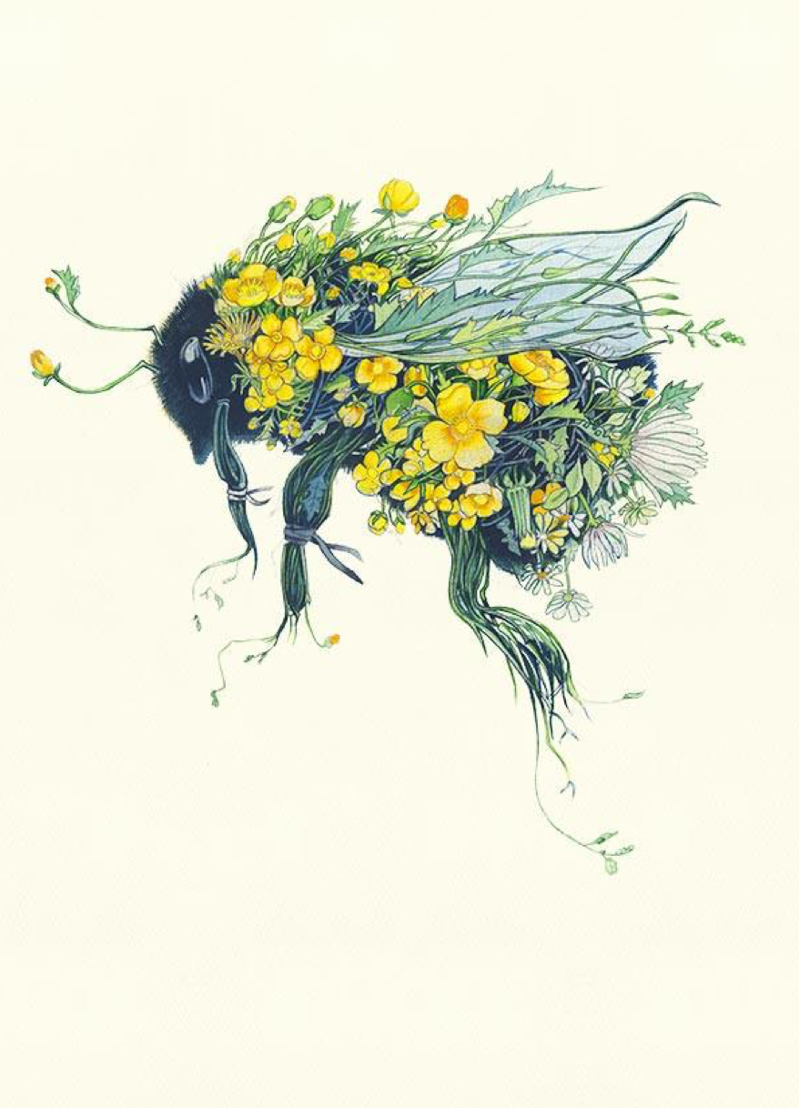 Bumblebee, Daniel Mackie A064