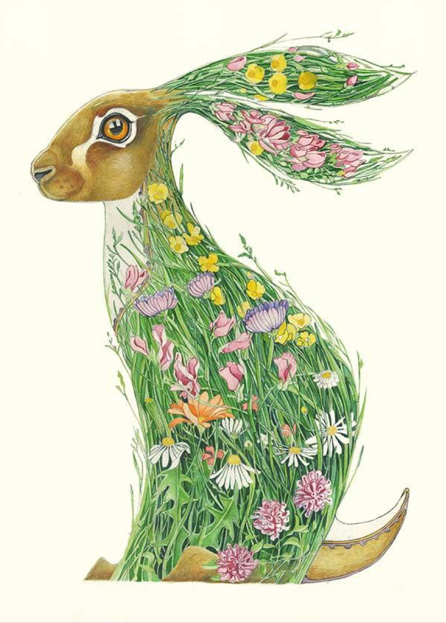 Hare in the Meadow, Daniel Mackie A080