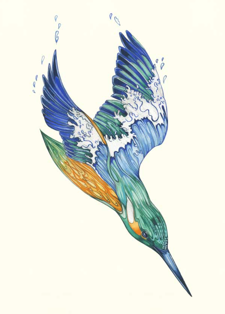 Kingfisher, Daniel Mackie A139