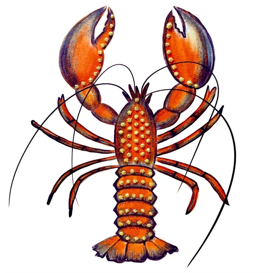 Lobster, Heather Martin 02G