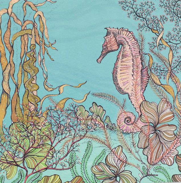 Seahorse, In The Wild, TW86