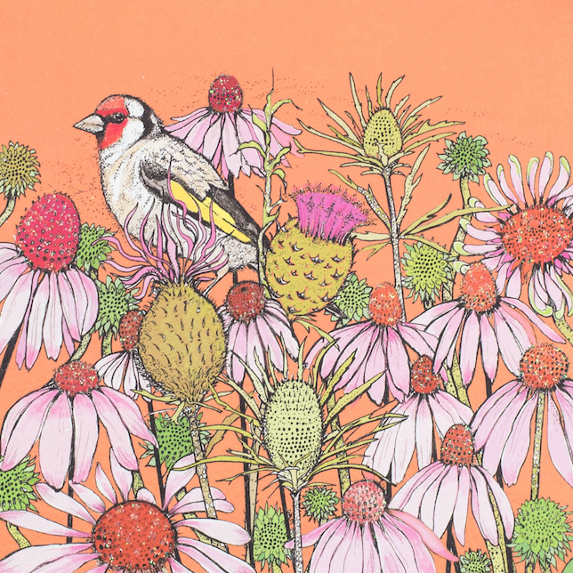 Goldfinch and Coneflowers , In The Wild, TW83