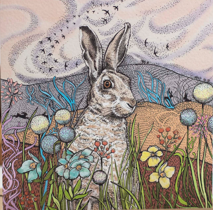 Hares in the Fields, In The Wild, TW84
