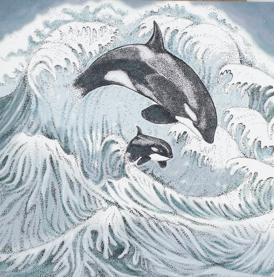 Orcas, In The Wild, TW91