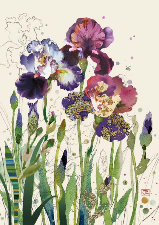 Mixed Irises by Jane Crowther B030