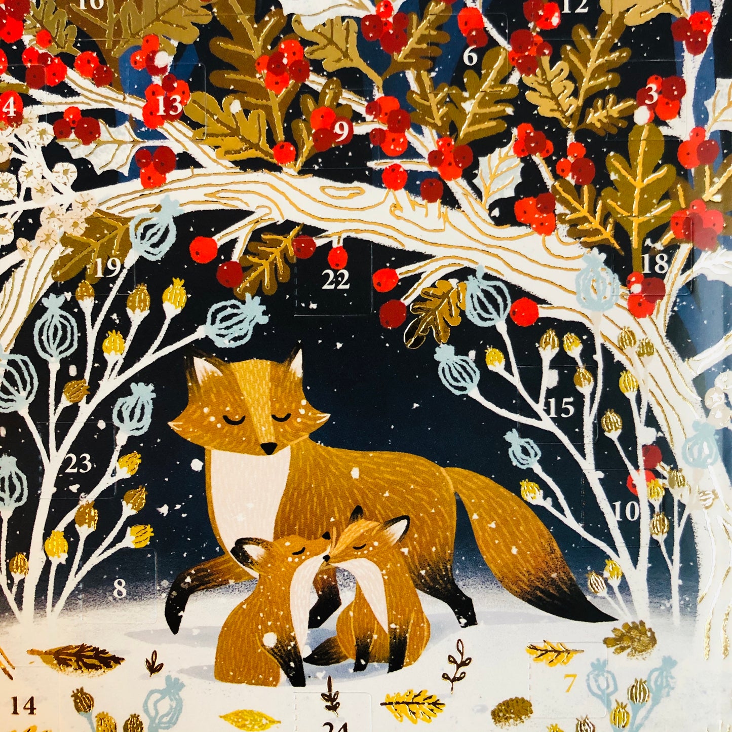 Frosty Forest Fox Mini Advent Calendar Card by Antoana Oreski ACC071
