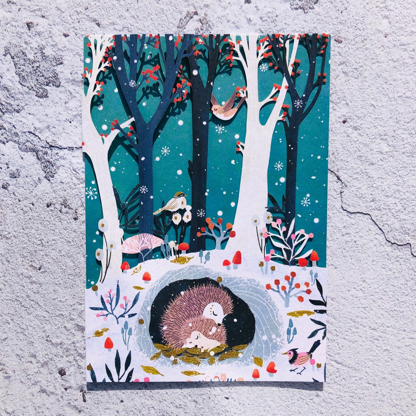Frosty Forest Sleeping Hedgehogs (Teal) Lasercut Christmas Card by Antoana Oreski GCX952