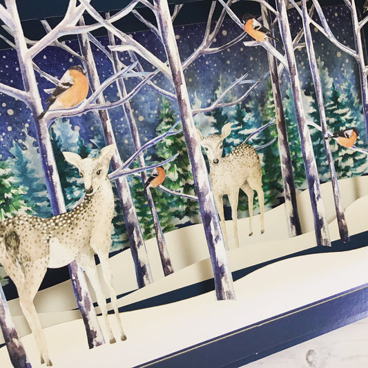 Message in a Bottle 3D Card - Forest Deer XMIB006
