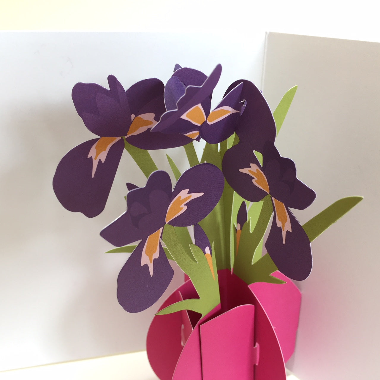 Pop Up 3D Iris Card by Two To Tango