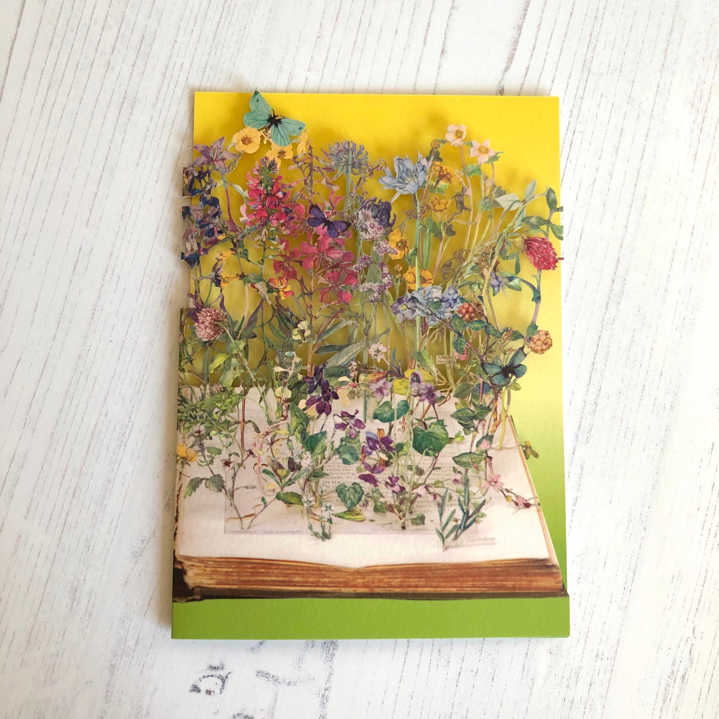 Wild Flowers of the British Isles - Scissors Paper Tree Lasercut Card, Su Blackwell GC2093