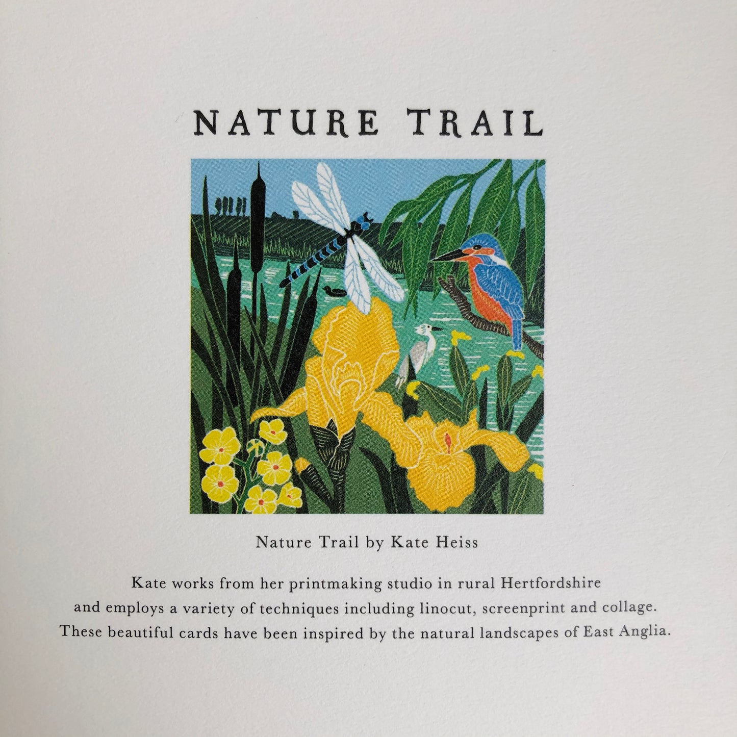 Kingfisher and Dragonfly by Kate Heiss, Nature Trail NT14A