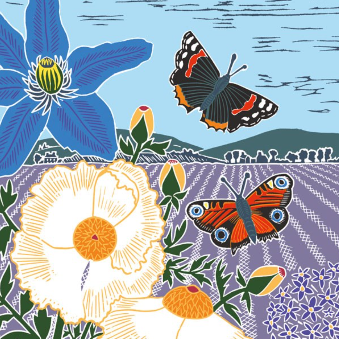 Meadow of Butterflies by Katie Heiss, Nature Trail NT16A